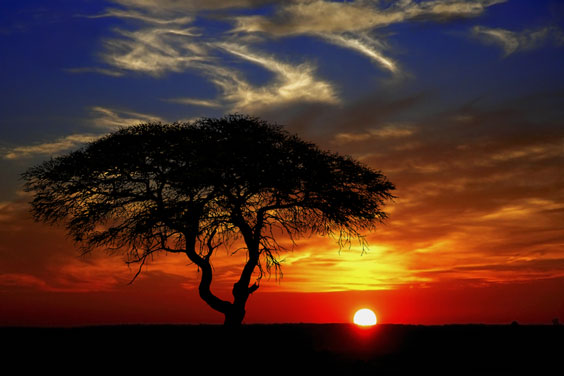 African Sunset