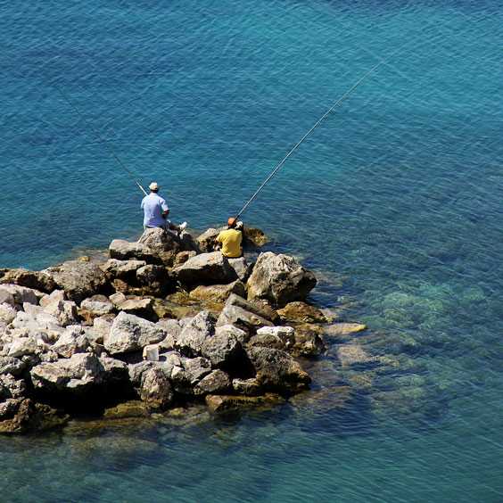 Angling at the Seashore