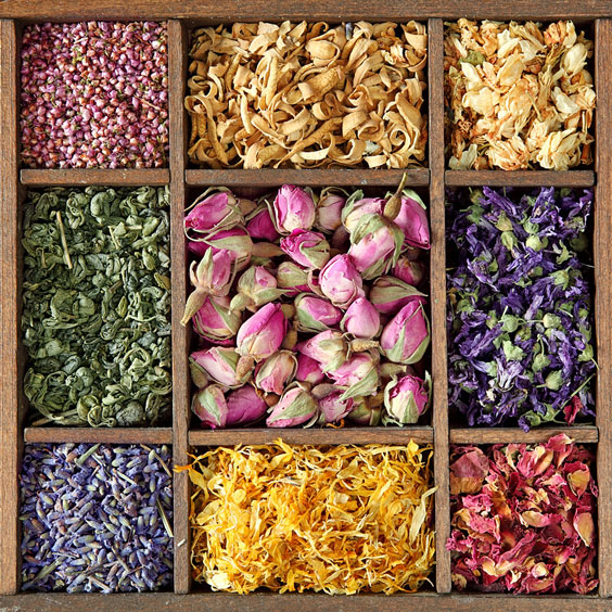 Assortment of Dried Teas