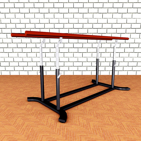 Parallel Bars in a Gymnasium