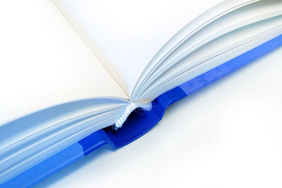 Blue Book with Blank Pages