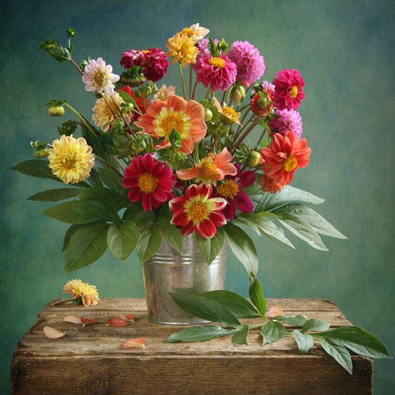 Colorful Bouquet of Flowers