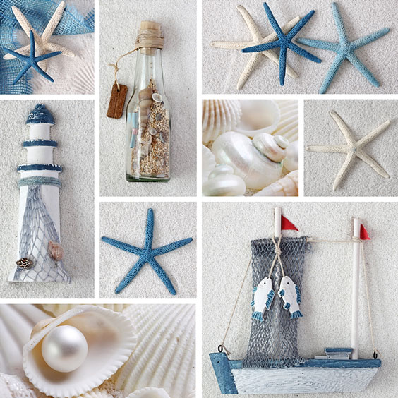 Collage of Seashells and Sea Stars