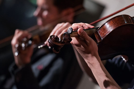 Violins at a Concert