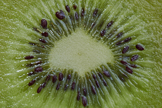 Kiwi Seeds in Context