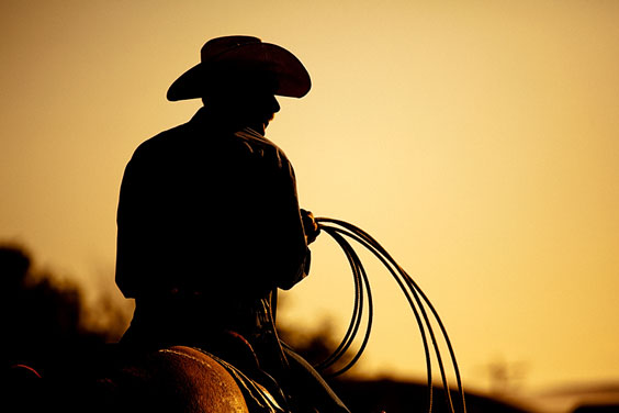 Rodeo Cowboy Silhouette