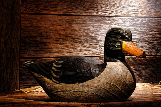 Carved Duck Decoy on Display