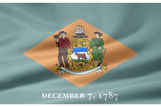 Delaware Flag