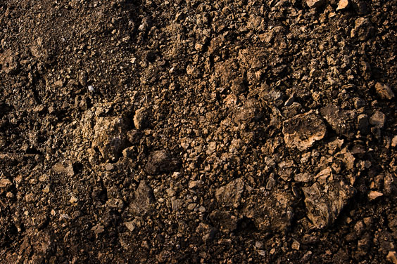 Brown Dirt
