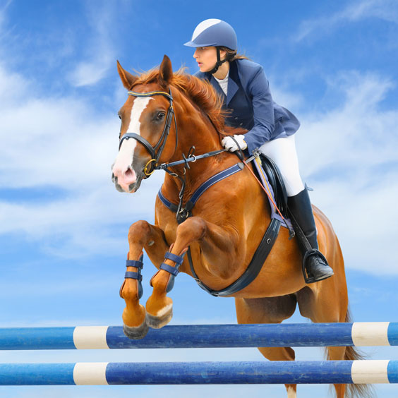 Equestrian Jumping Event