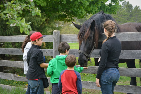 Children Feeding a Horse