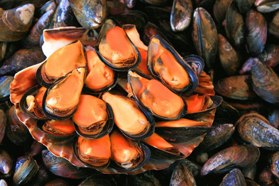 Mussels Served with Flair