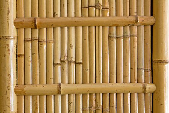 Bamboo Frame