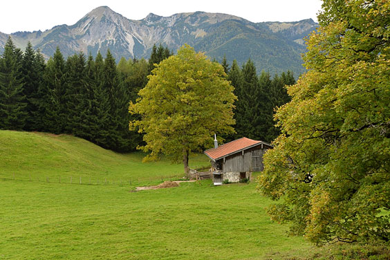 German Countryside