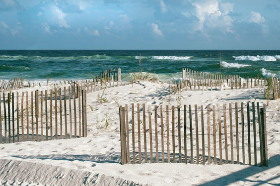 Gulf of Mexico Beach