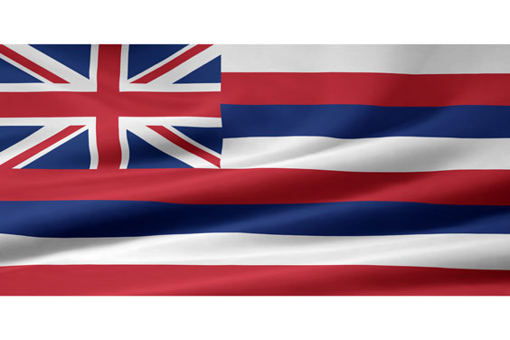 Hawaii Flag