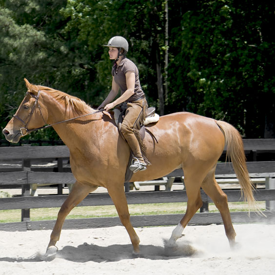 Young Woman Horseback Riding
