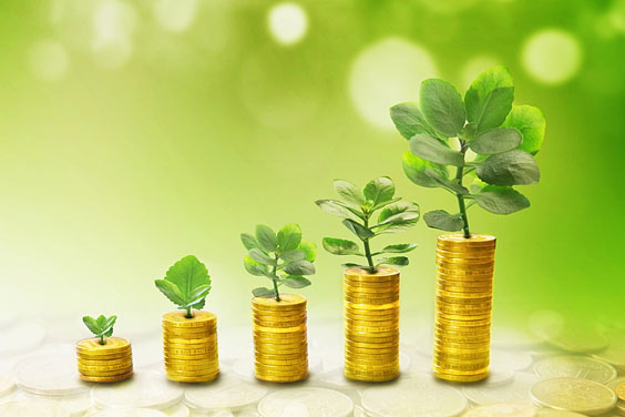 Growing Plants atop Growing Coin Stacks