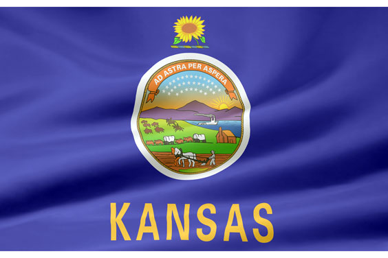 Kansas Flag