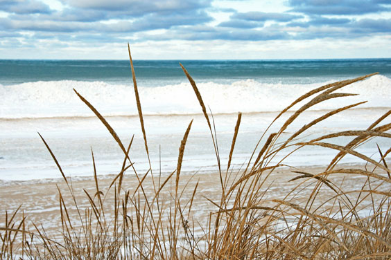 Lake Michigan Shoreline in Winter