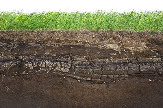 Layers of Underground Soil Below a Grassy Lawn