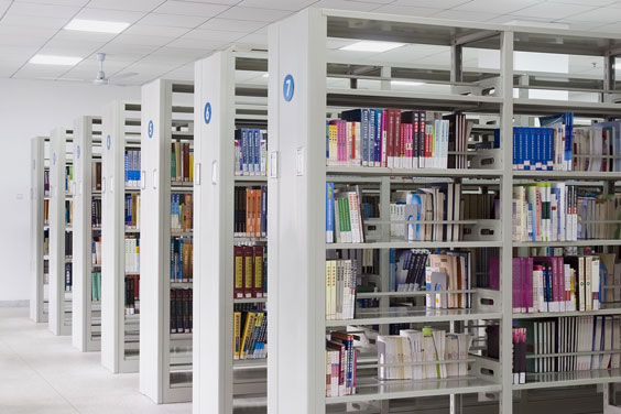 Contemporary Library Shelving