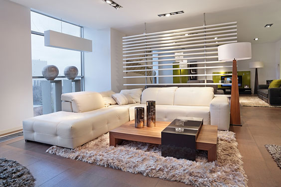 Modern Living Room with Shag Rug