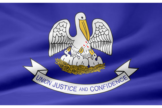 Louisiana Flag