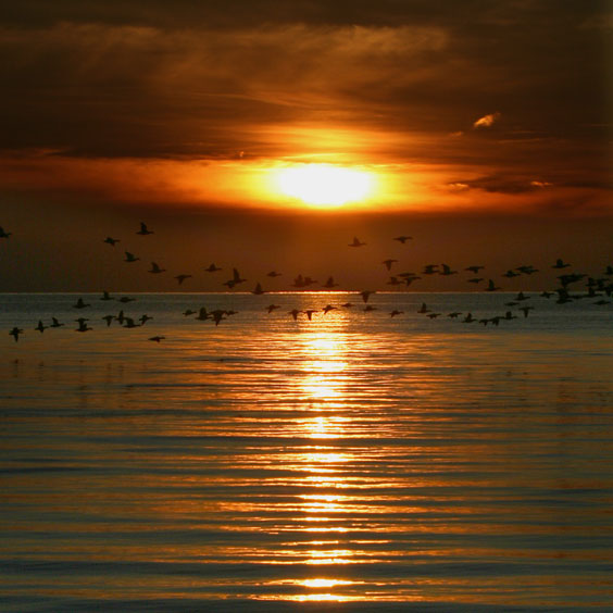 Lucent Sunset Over a Cape Cod Harbor