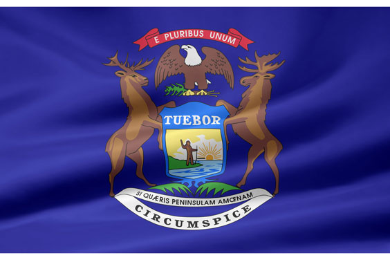 Michigan Flag