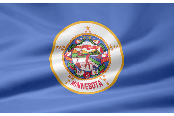 Minnesota Flag