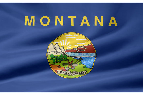 Montana Flag