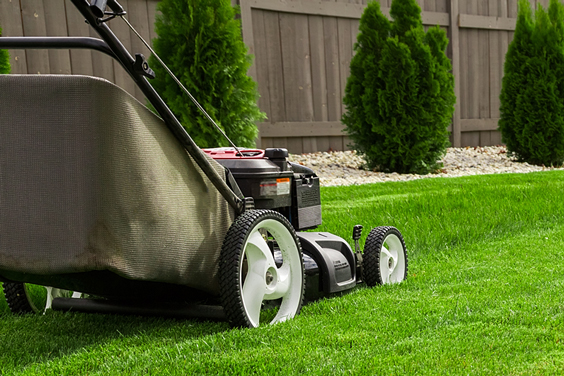 Power Lawn Mower Mowing a Lawn