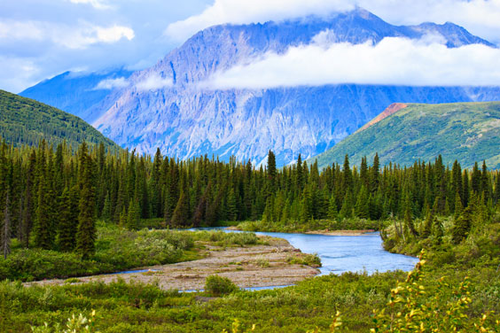 Denali National Park, Alaska