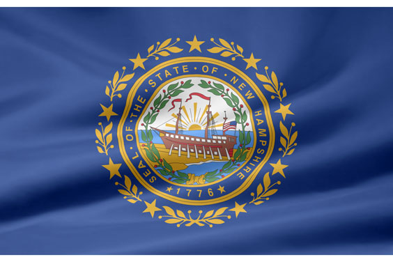 New Hampshire Flag