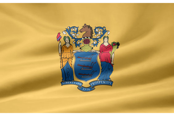 New Jersey Flag