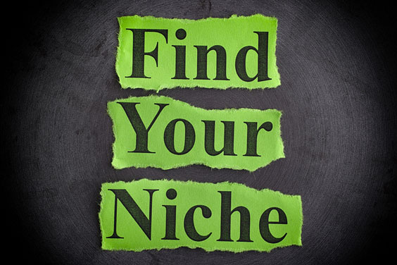 Find Your Niche