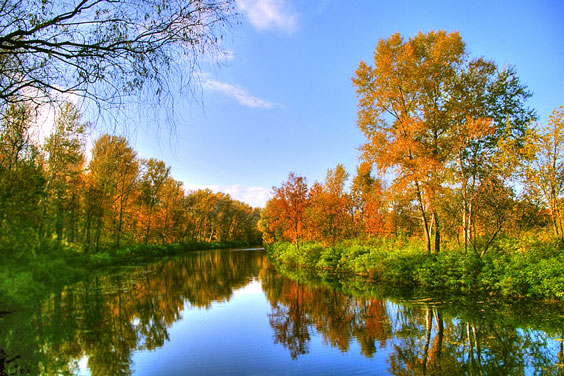 Picturesque Autumn Landscape