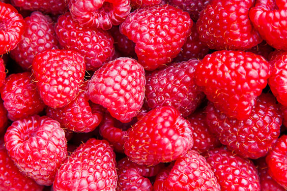 Red Raspberries