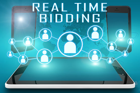 Real-time Auction Bidding Concept