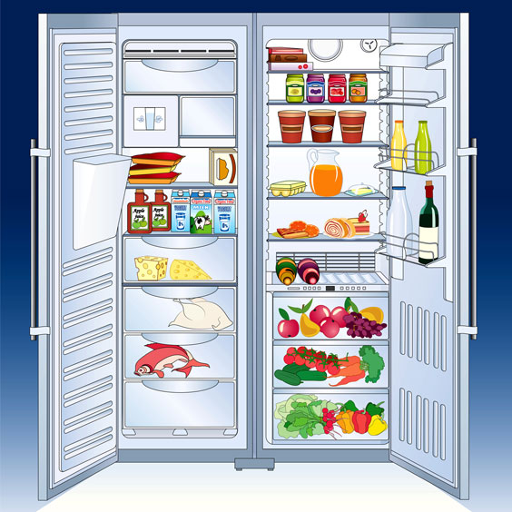 Refrigerator Interior