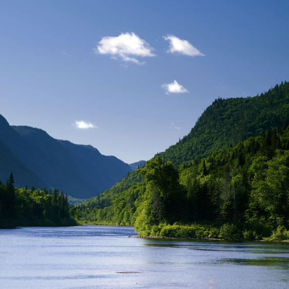 Tranquil River Valley