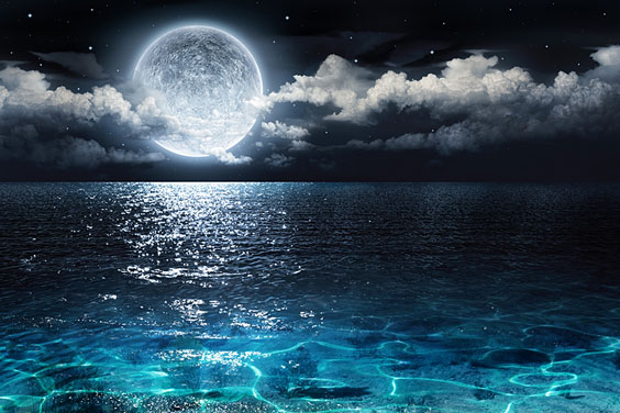 Romantic Moon Shining on the Ocean