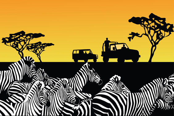 Safari Silhouette with Zebras