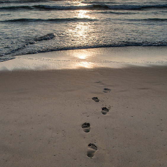 Footprints on a Sandy Beach