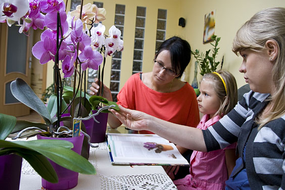 Schooling a Child about Flowers