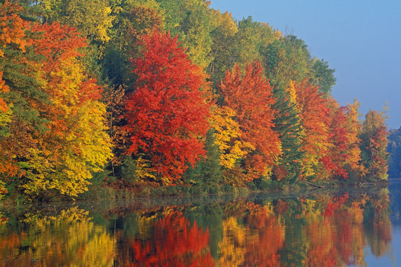 Autumn Shoreline