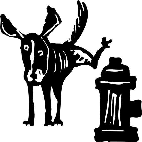 Dog Marking its Territory