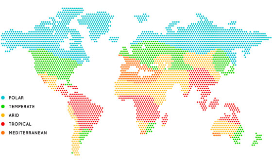 Climate Zone World Map