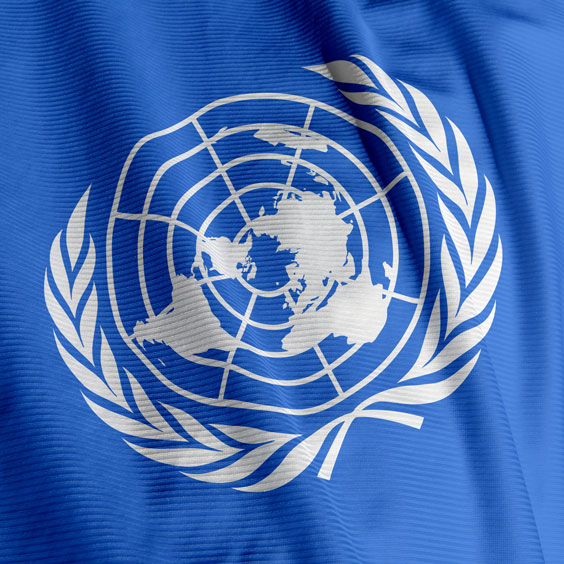 United Nations Flag Emblem